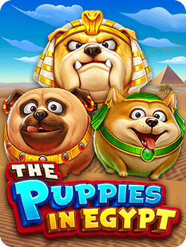 The Puppies In Egypt